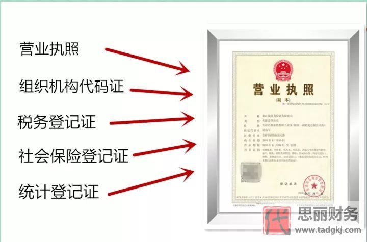 五证合一营业执照样本(五证合一执照是什么样)