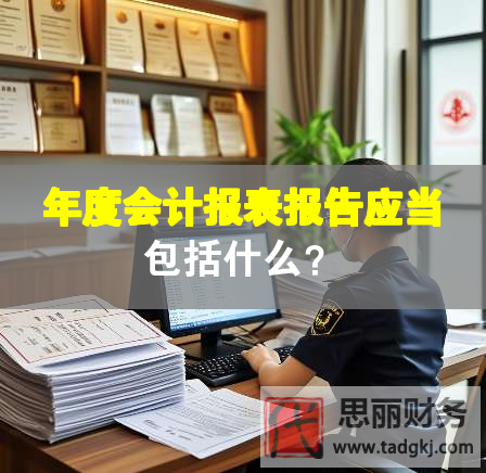 年度会计报表报告应当包括什么？