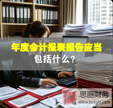年度会计报表报告应当包括什么？