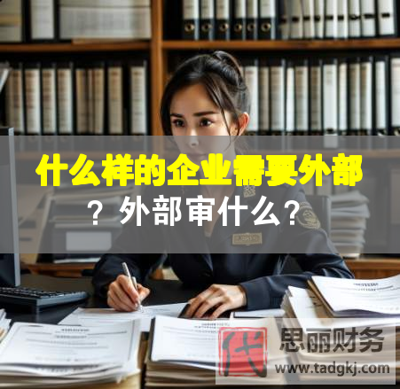 什么样的企业需要外部？外部审什么？