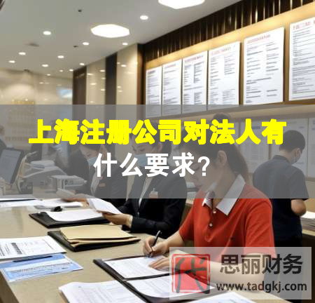 上海注册公司对法人有什么要求？
