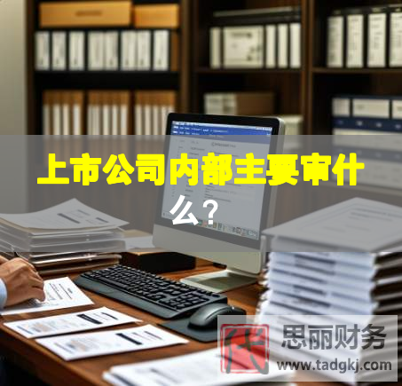 上市公司内部主要审什么？