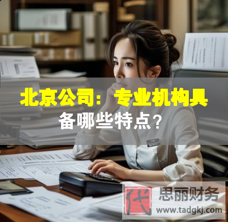 北京公司：专业机构具备哪些特点？