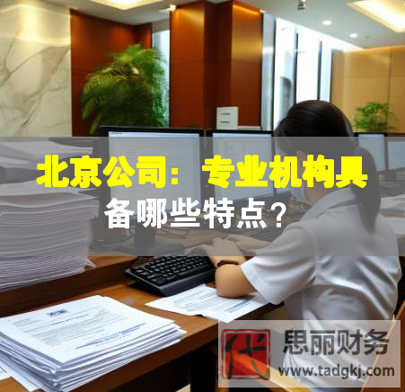 北京公司：专业机构具备哪些特点？