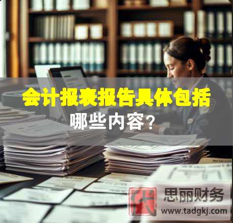 会计报表报告具体包括哪些内容？