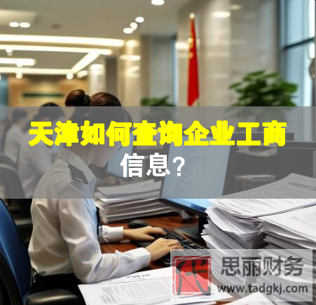 天津如何查询企业工商信息？
