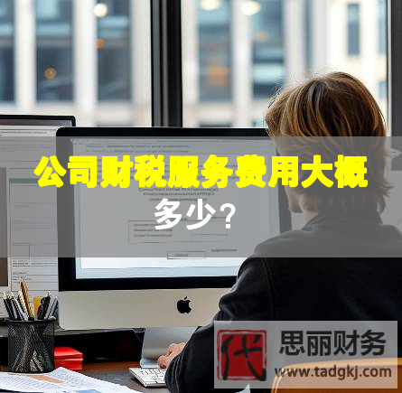 公司财税服务费用大概多少？
