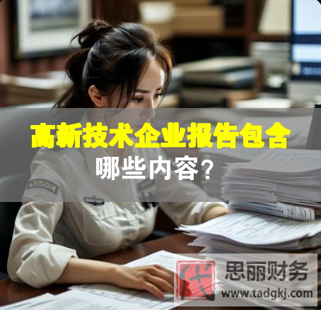 高新技术企业报告包含哪些内容？
