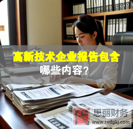 高新技术企业报告包含哪些内容？