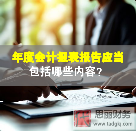年度会计报表报告应当包括哪些内容？