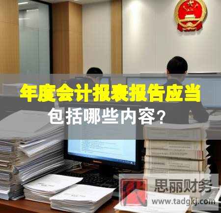 年度会计报表报告应当包括哪些内容？