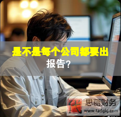 是不是每个公司都要出报告？