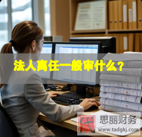 法人离任一般审什么？