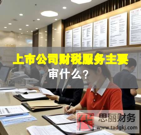上市公司财税服务主要审什么？
