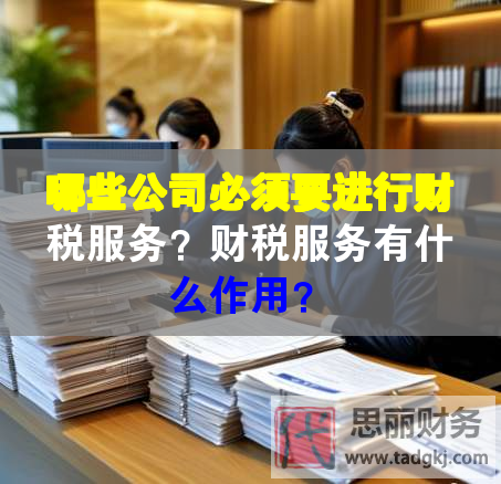 哪些公司必须要进行财税服务？财税服务有什么作用？