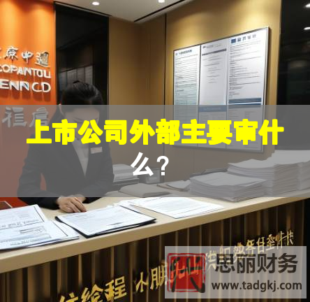 上市公司外部主要审什么？