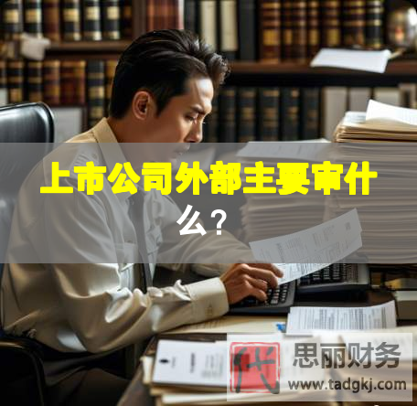 上市公司外部主要审什么？