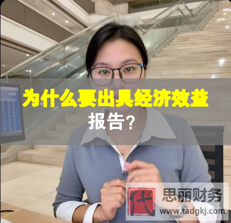 为什么要出具经济效益报告？