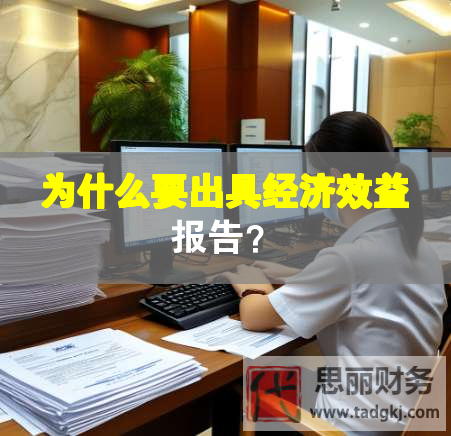 为什么要出具经济效益报告？