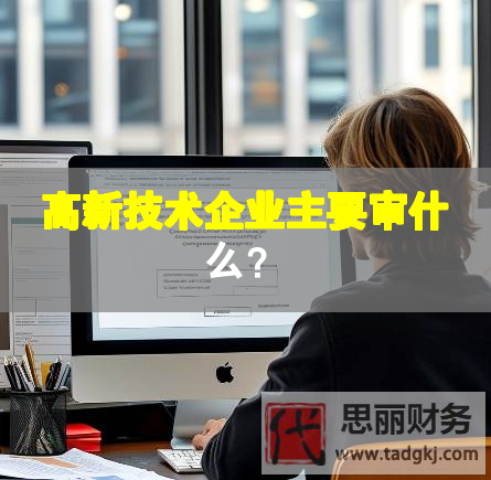 高新技术企业主要审什么？