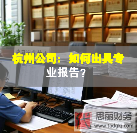 杭州公司：如何出具专业报告？