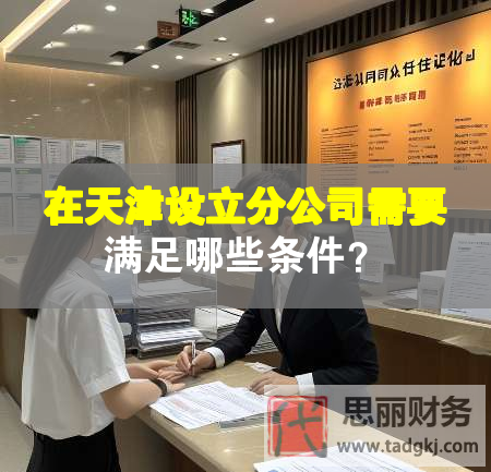 在天津设立分公司需要满足哪些条件？