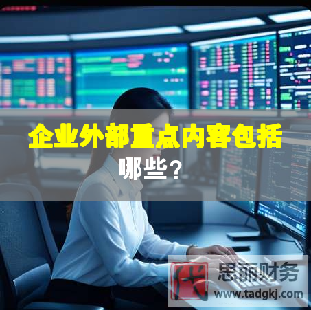 企业外部重点内容包括哪些？