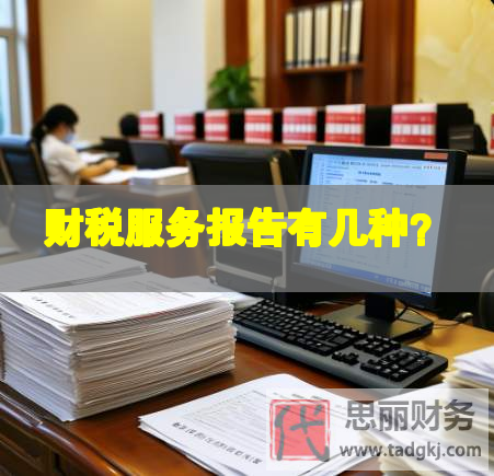 财税服务报告有几种？