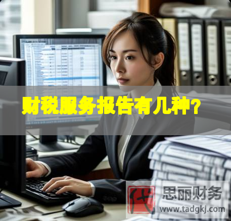 财税服务报告有几种？