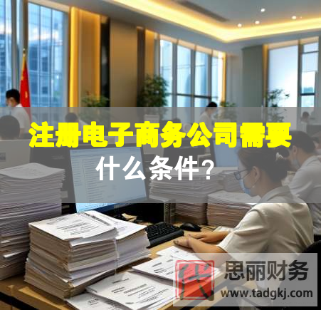 注册电子商务公司需要什么条件？