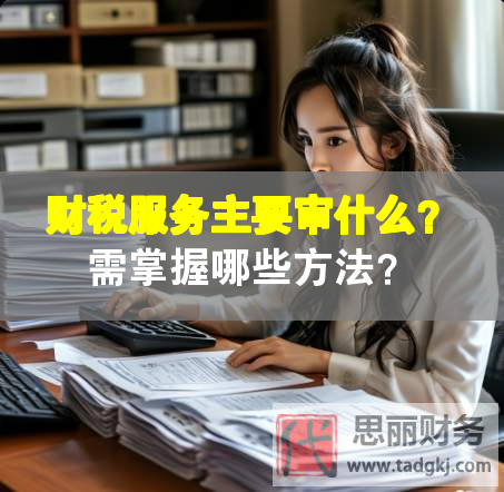 财税服务主要审什么？需掌握哪些方法？
