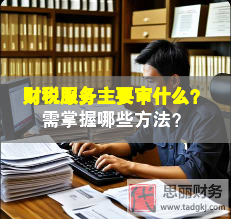 财税服务主要审什么？需掌握哪些方法？