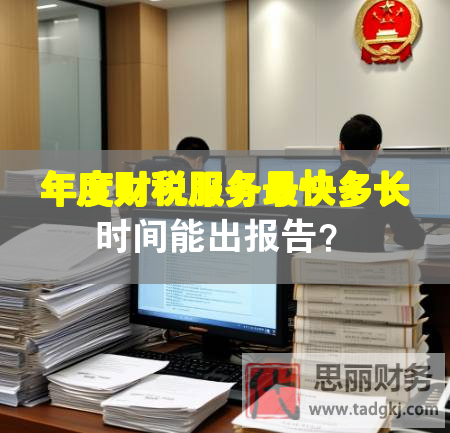 年度财税服务最快多长时间能出报告？